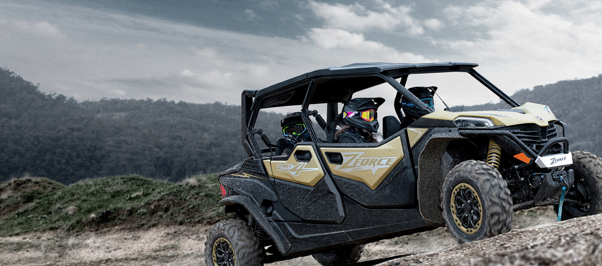 Buggy 4 places