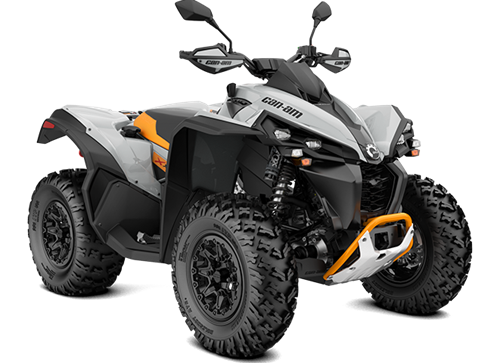 RENEGADE X XC 650 T